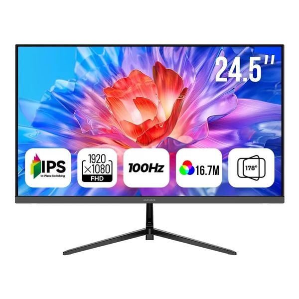 Màn hình máy tính Aiwa 25inch IPS FullHD 100Hz - AW-MF2525-V